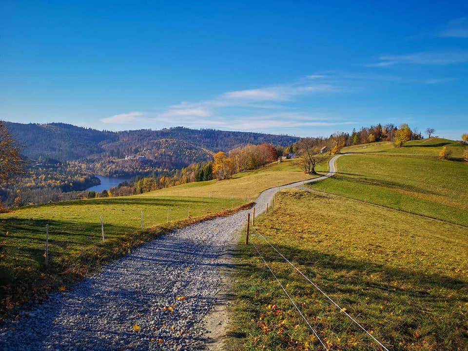 Ksiezowka - Wislanka Homestay Wisla